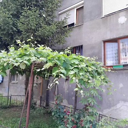 Apartmán Comfy Free Parking *